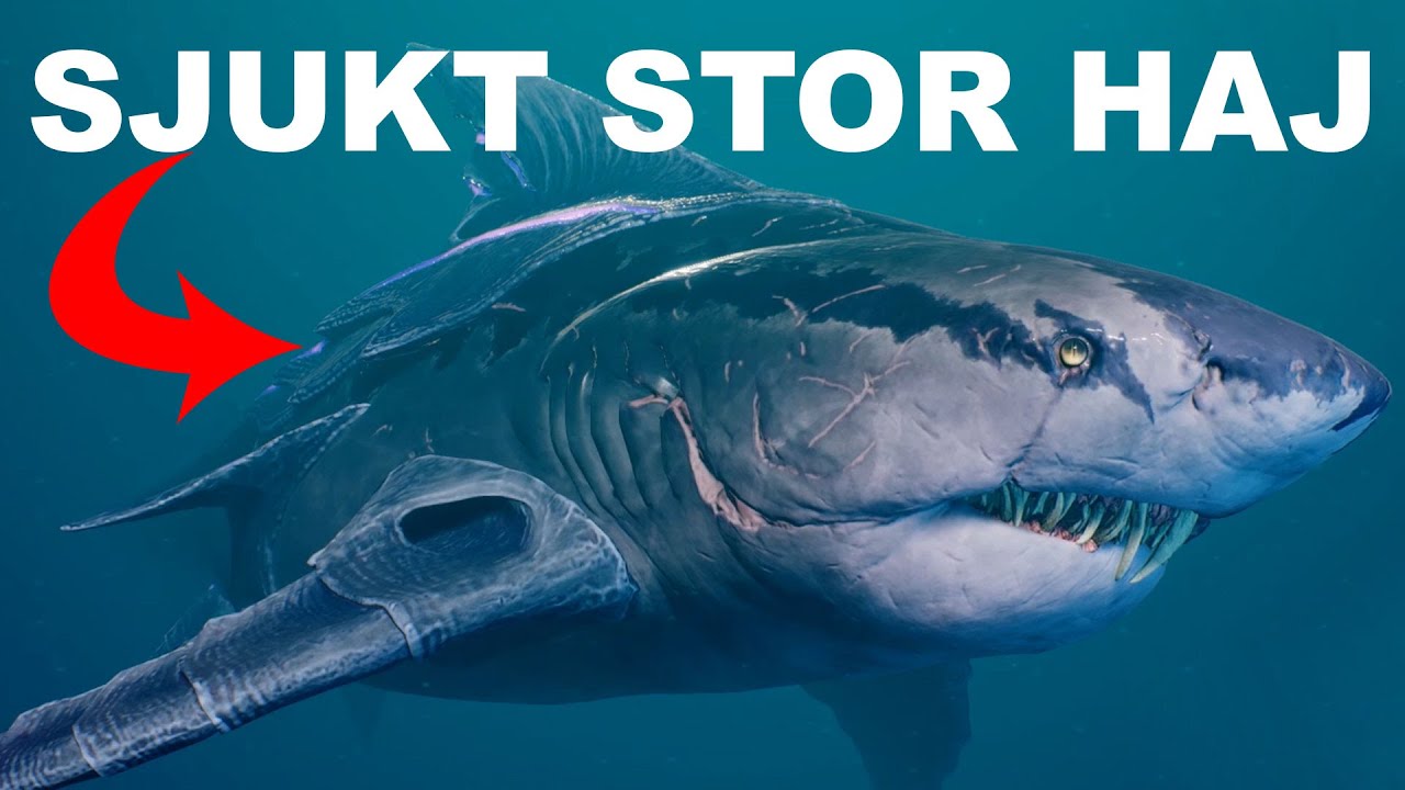 SJUKT STOR HAJ | Maneater