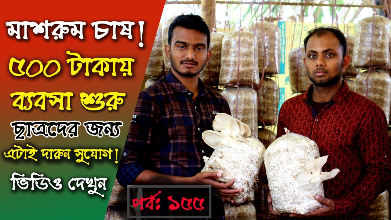 মাশরুম চাষ পদ্ধতি | কম পুঁজিতে লাভজনক ব্যবসা শুরু | উদ্যোক্তার খোঁজে