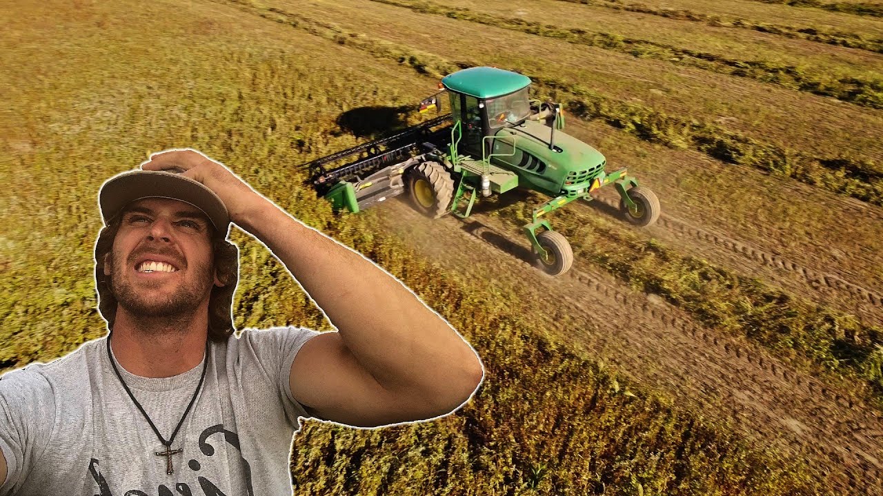 John Deere Windrower Swathing Organic Buckwheat | Part 2