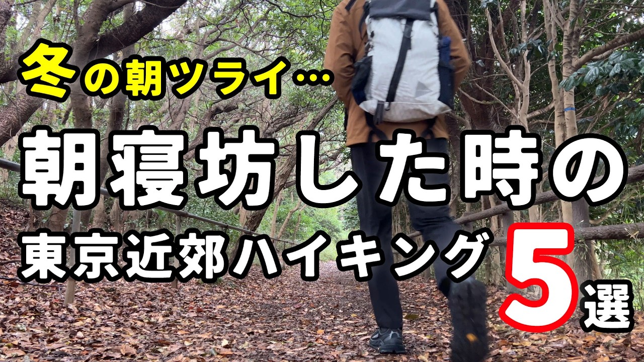 【登山初心者】遅い時間からでもOK！朝寝坊した時おすすめの東京近場ハイキング５選