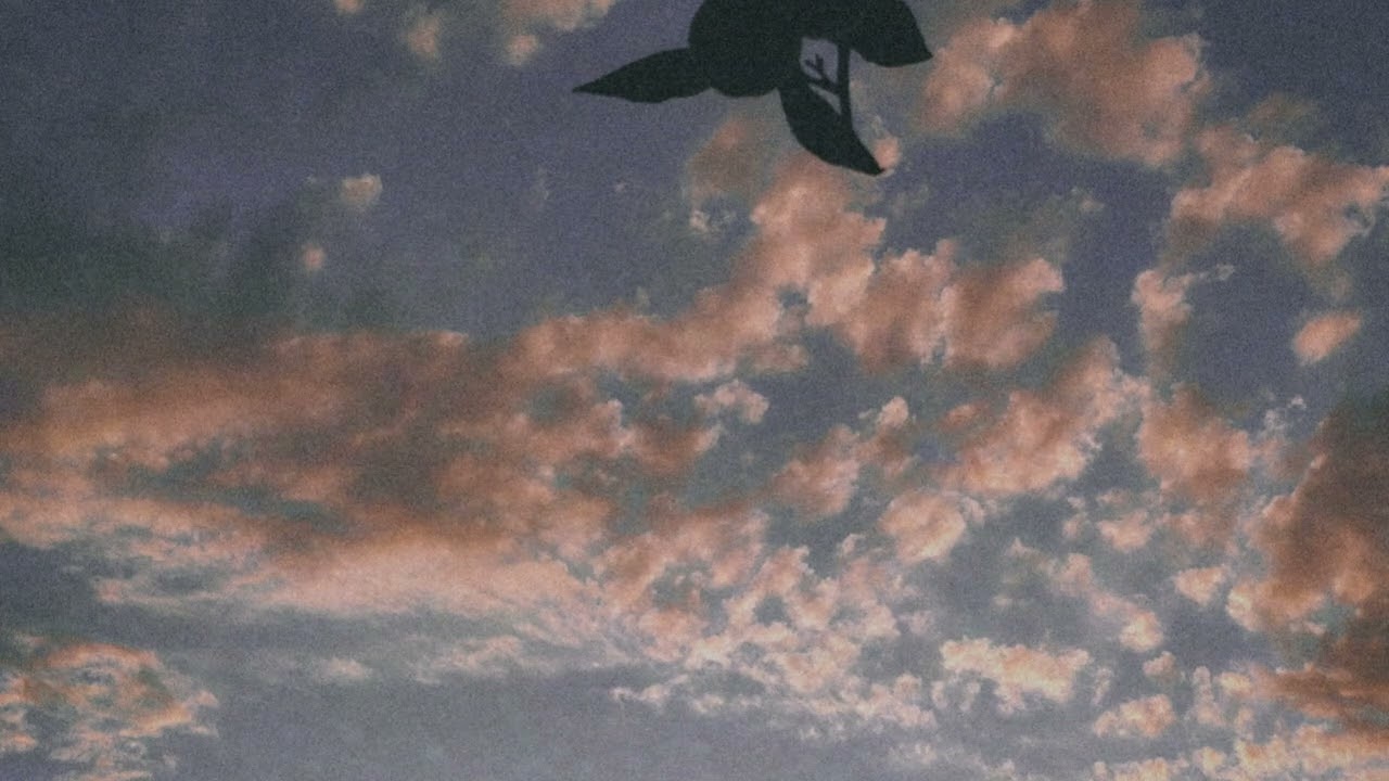 Is heaven as real as they say?