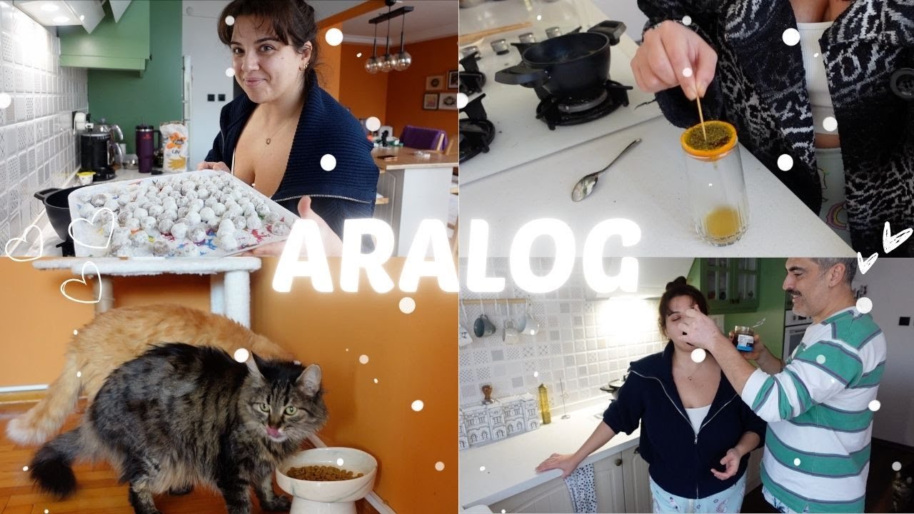 ROBOTTA KOLAY EKŞİLİ KÖFTE DENEMECE, MANDALİNA ÇAYI YAPMACA, ARALOG 14.BÖLÜM #aralog