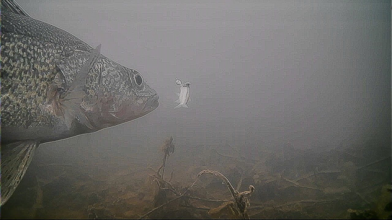 Ice Fishing Lake St. Clair with DRUNKEN Minnows!