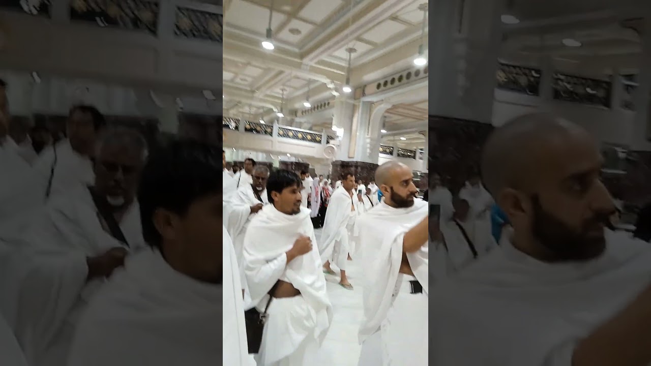 #suidi arab hog #foryou #foryourpage #vairalvideo