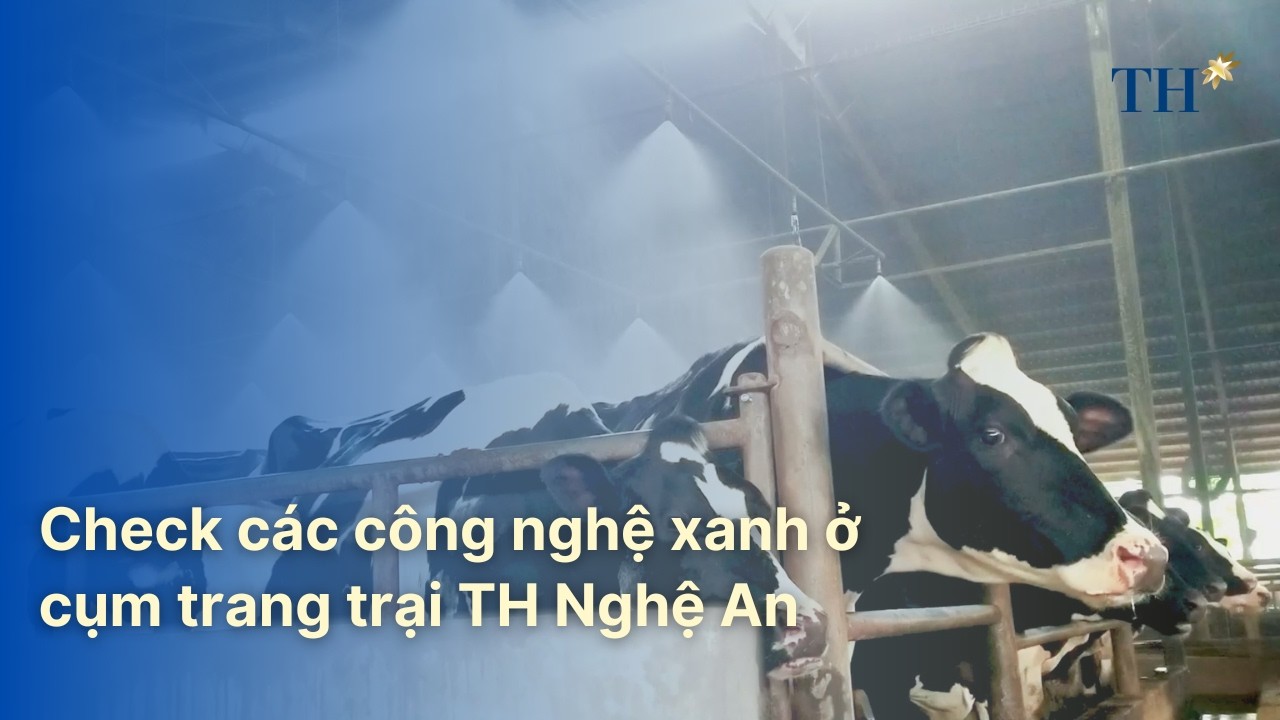 Check các công nghệ xanh ở cụm trang trại TH Nghệ An | TH Hạnh Phúc Đích Thực