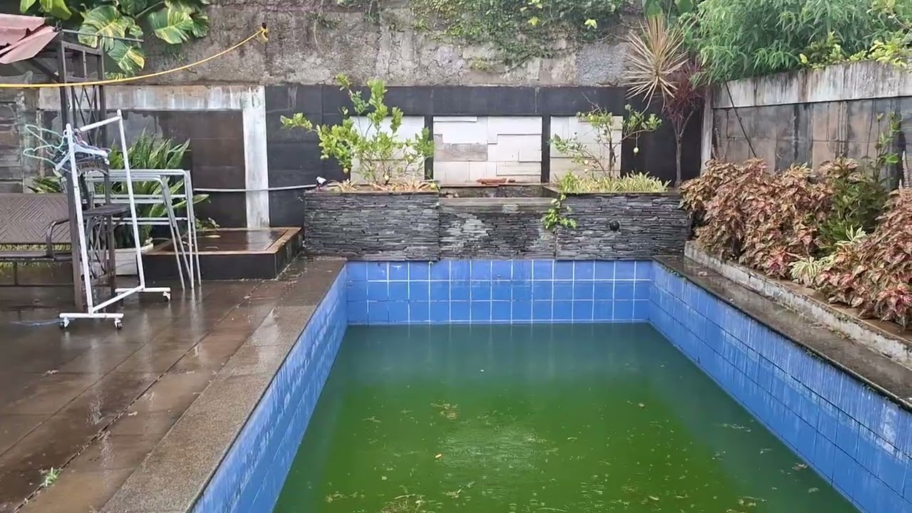 Rainy Day - Sejuknya Hujan Lebat yang membuat hati adem ayem [12 Februari 2026]