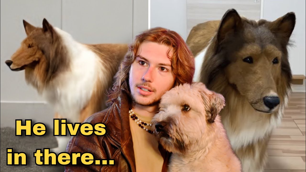 Этот мужчина живет в костюме для собаки стоимостью 30 000 долларов