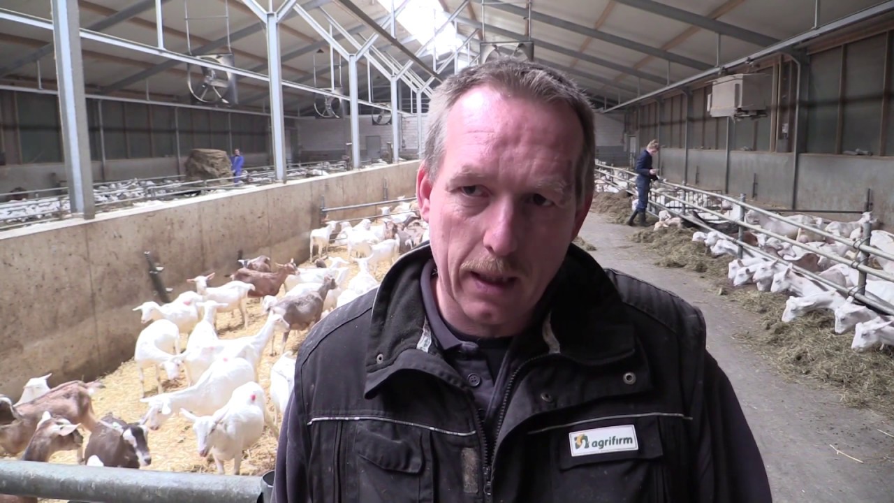 Geitenhouder Van der Veen  - Meijer uit Makkum vertelt GoatStart | Agrifirm