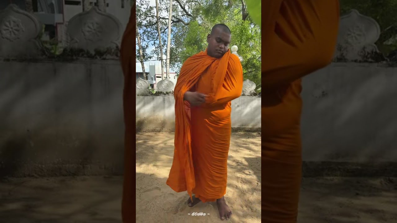 ලස්සනට සිවුර උභයාංශ කරනව බලන්නකො 🙏🙏🌸