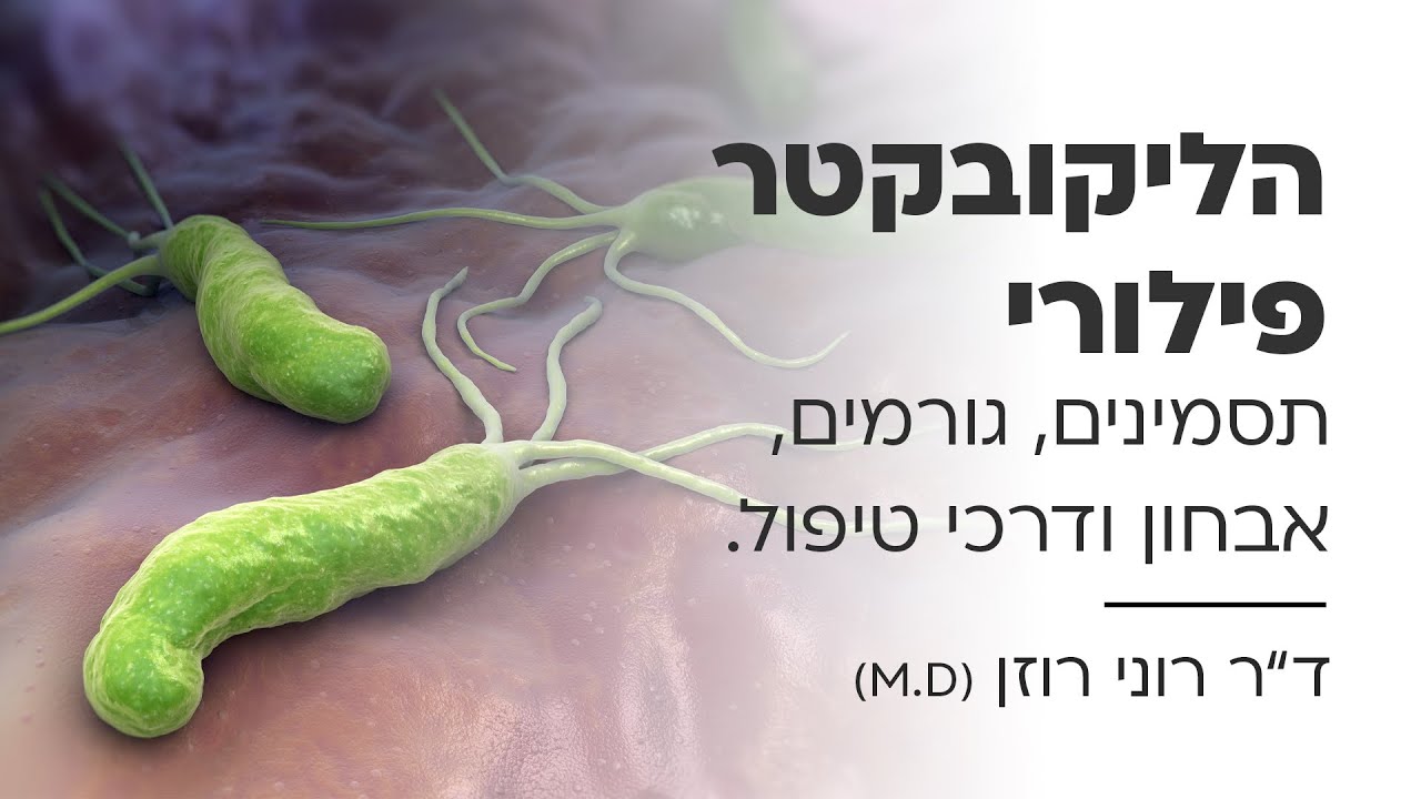 הליקובקטר פילורי: תסמינים, גורמים, אבחון ודרכי טיפול