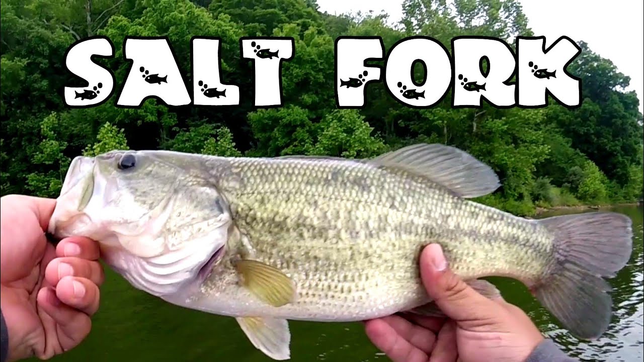 Salt Fork Lake Fishing