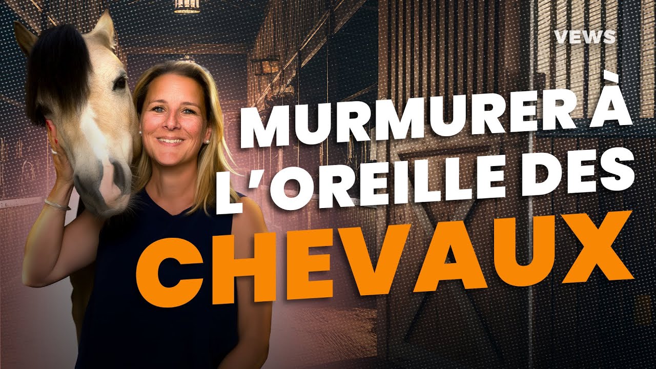 Comment parler le langage des chevaux ? Rencontre avec Delphine psychologue pour chevaux