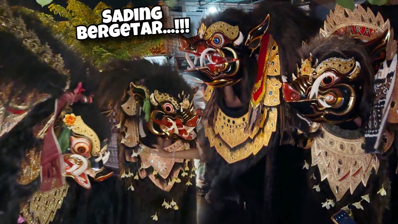 PARA BARONG BANGKUNG GETARKAN SADING 2024 - Bswara x Belog Polos x Waksira x Gelang