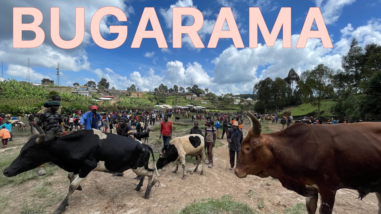 Inside the Cattle Market in BUGARAMA 🇧🇮 | Real Rural Market Life in Burundi