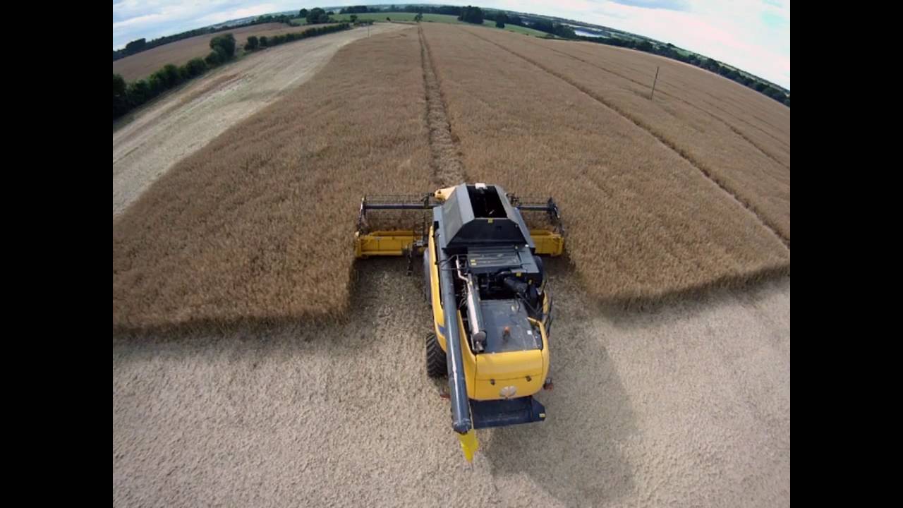 Harvest 2016 - Banks Field