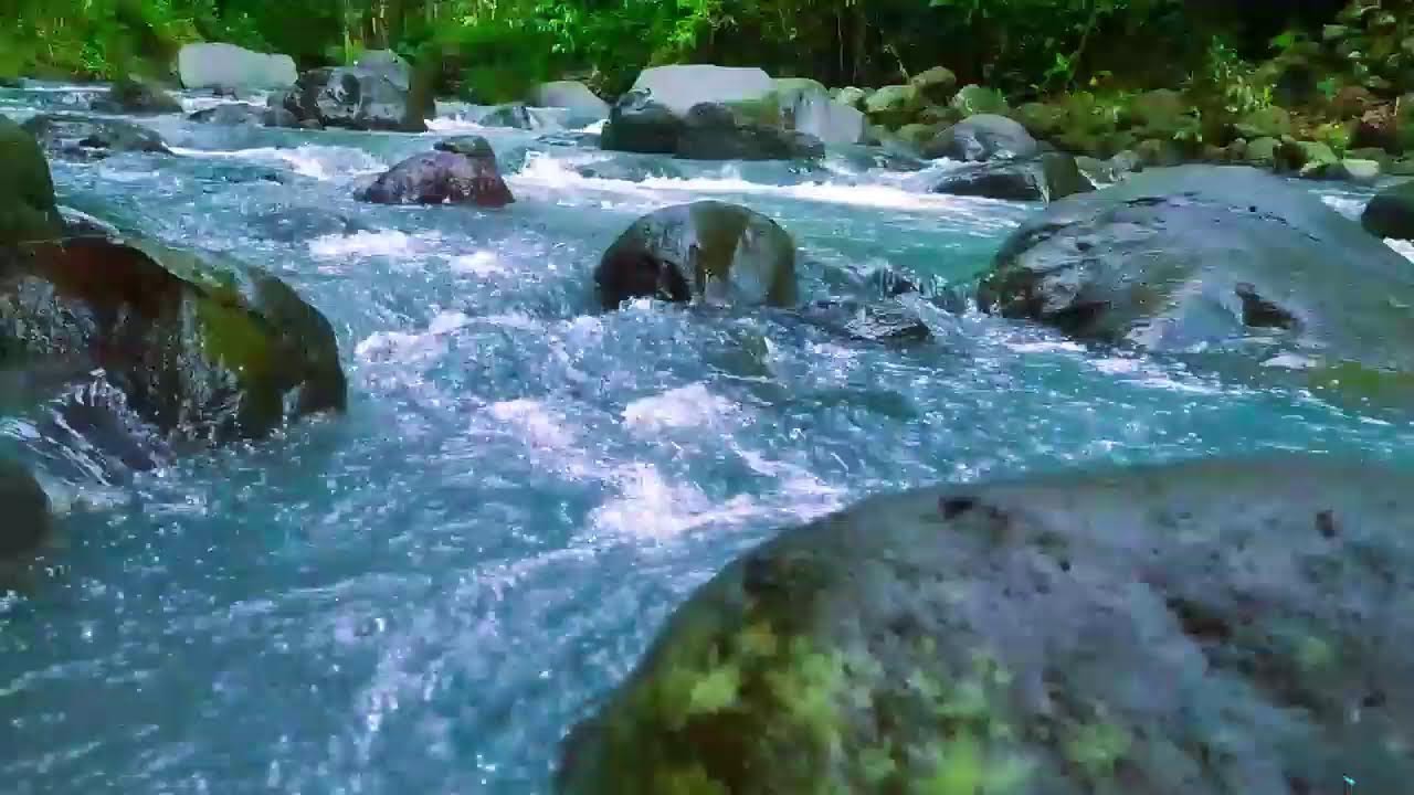 Tranquil River Sounds & Cozy Ambience for Relax and Stress Relief