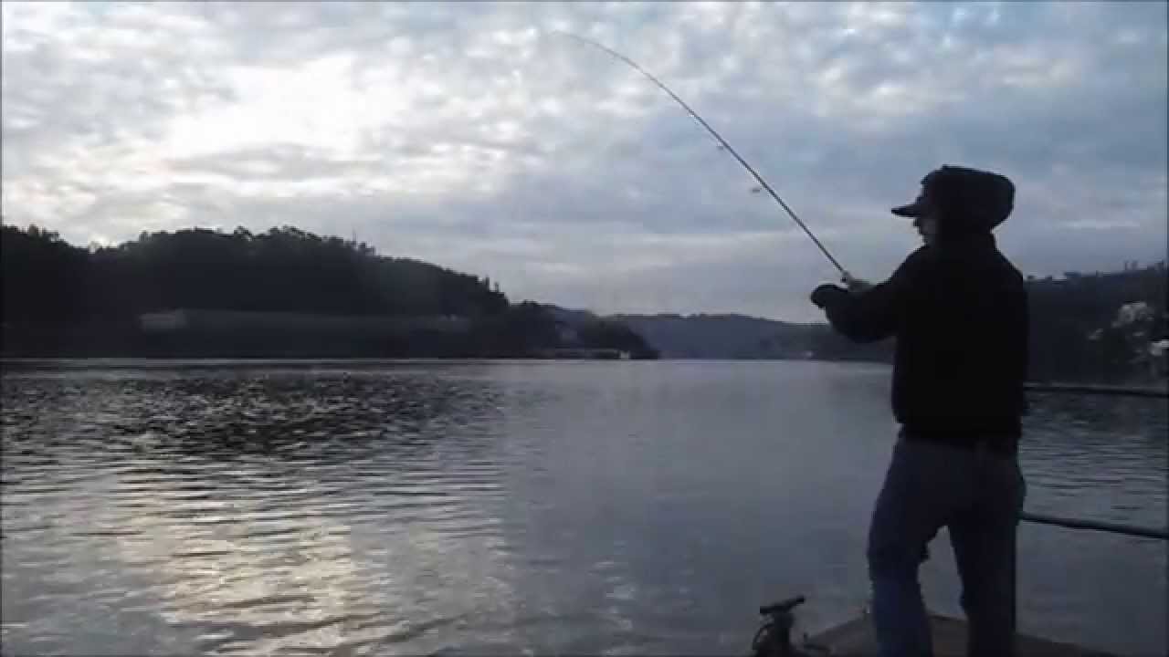 Montagem para a pesca às Luciopercas