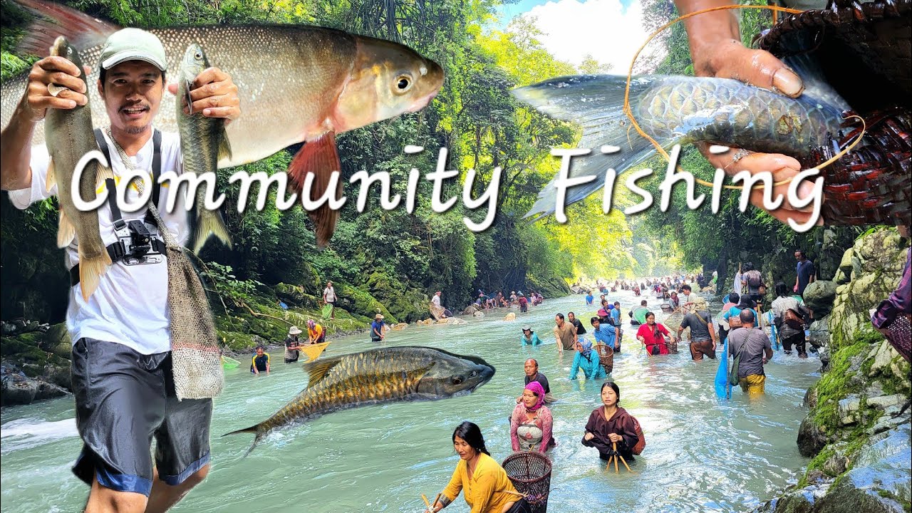 Community Fishing | Catch Tons Of Giant Trout & Masheer