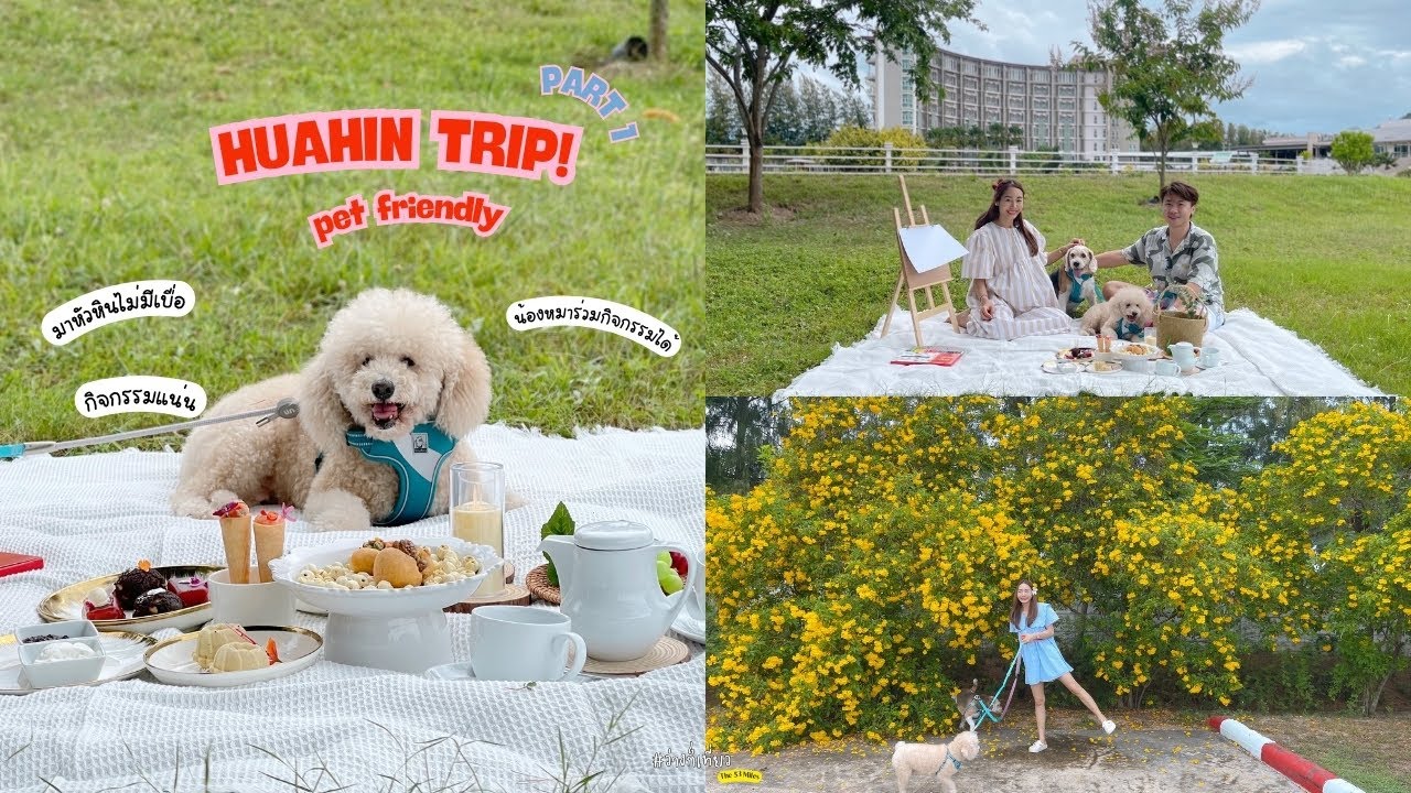 EP34. (PART 1)หัวหินทริป! Pet friendly ไม่มีเบื่อ มีกิจกรรมทั้งวัน! The Kaset huahin Hotel