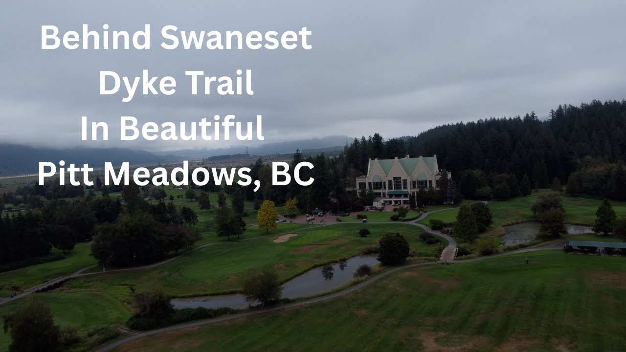 Dyke Trail Walk Behind Swaneset | Dog-Friendly Walk with My Red Heeler 🐾