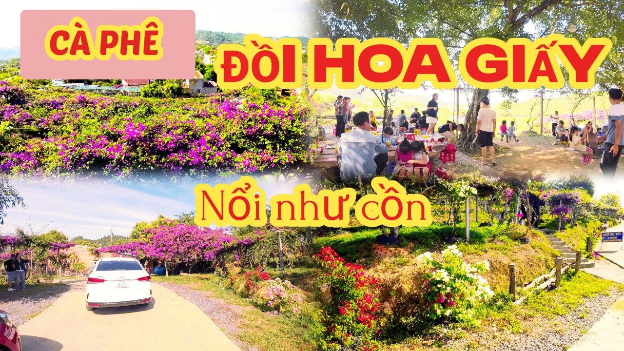 QUÁN CÀ PHÊ ĐỒI HOA GIẤY NỔI NHƯ CỒN