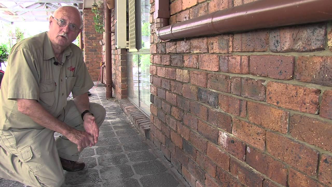 Cure All Pest Control Brisbane - Installing a termite chemical barrier