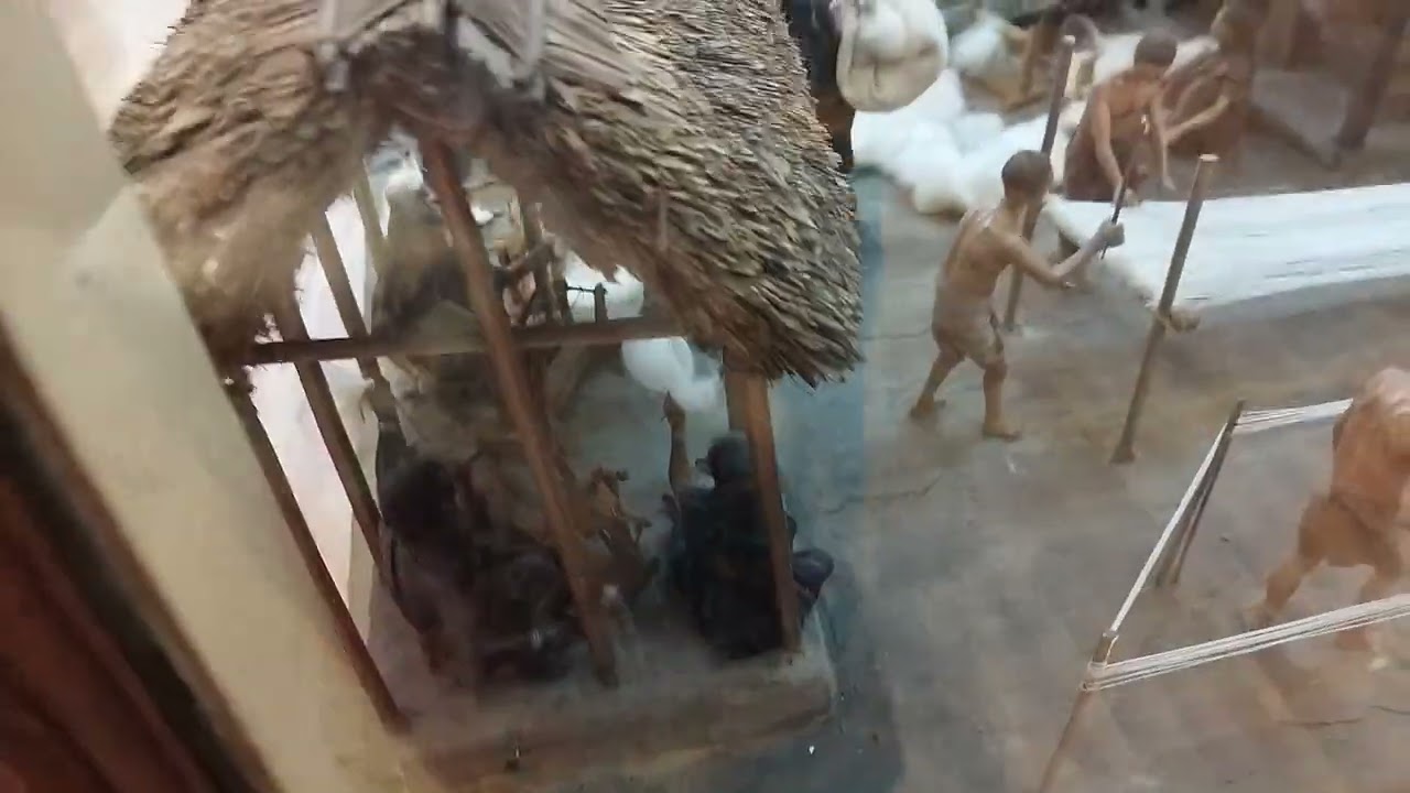 INDIAN NATIONAL MUSEUM ,KOLKATA Story of Cotton. #farmer work#cotton production.