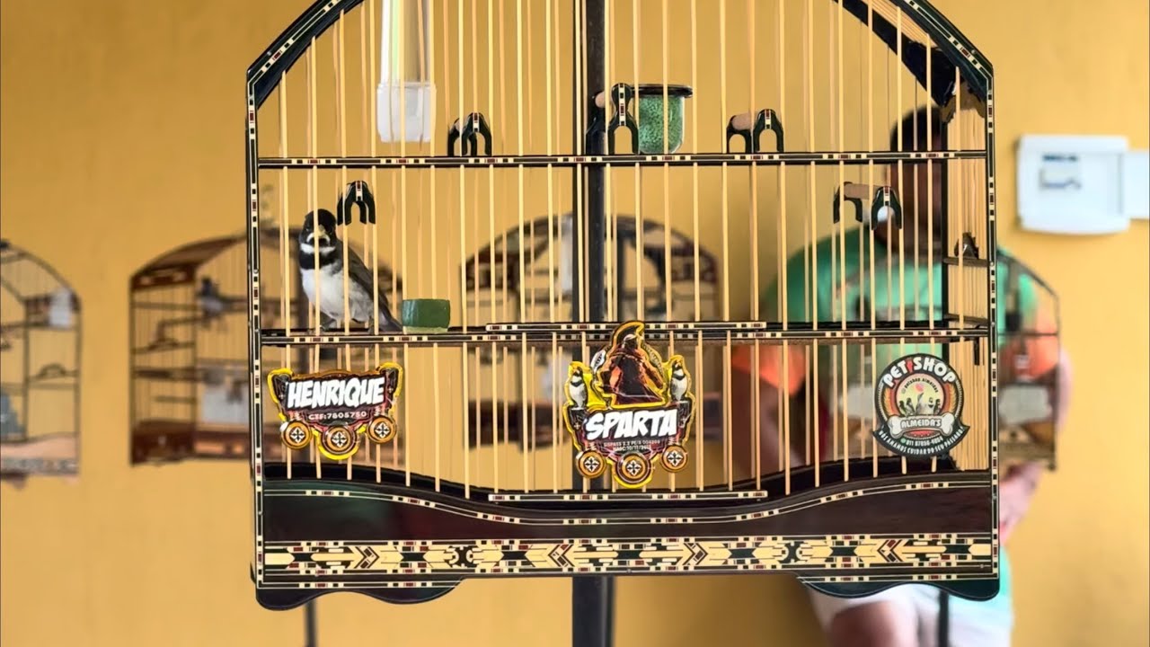 BOLÃO TOP 10 ETAPA FINAL| ÚLTIMA PUXADA DA COPINHA DE COLEIRO E PAPA CAPIM CUIDA 