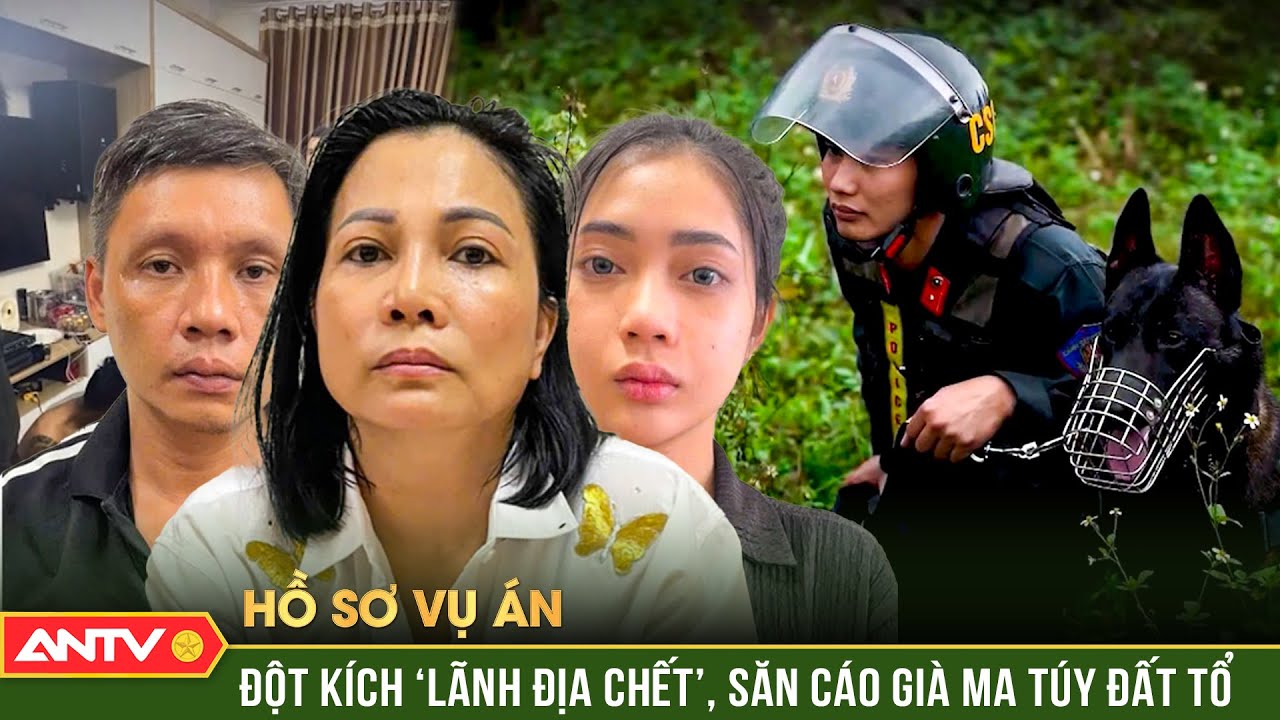 Hồ sơ vụ án: ‘Dụ rắn rời hang’, trinh sát đánh ‘dập đầu’ bà trùm ma túy đất Tổ | ANTV