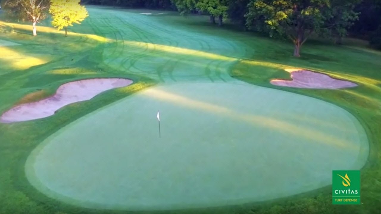 How Mississaugua Golf and Country Club Uses CIVITAS TURF DEFENSE to Increase Turf Quality