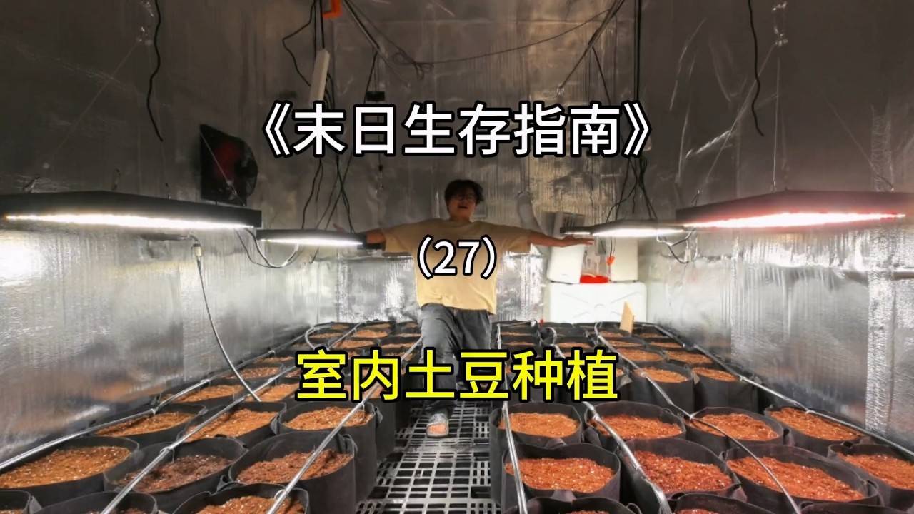 用粑粑种土豆，还给它们吹空调？！室内种土豆真能成吗？【宇宙观察】#室内农场 #末日生存 #生态循环