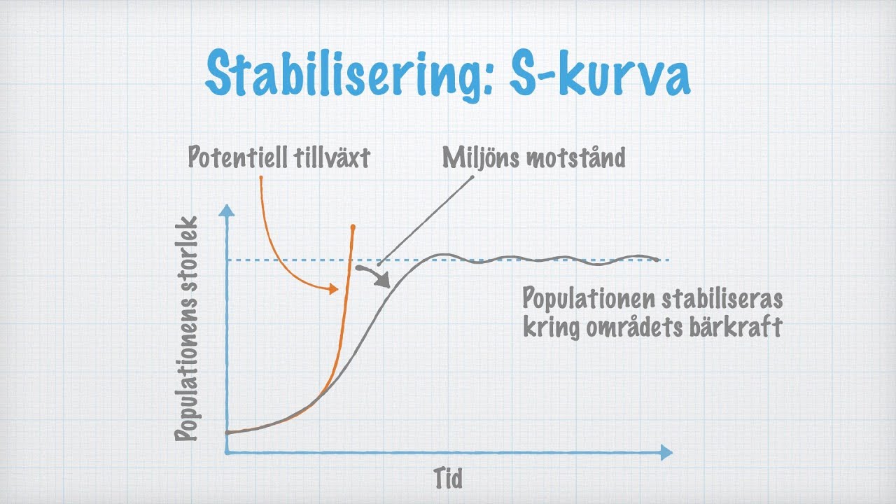 Populationer – Storlek och tillväxt