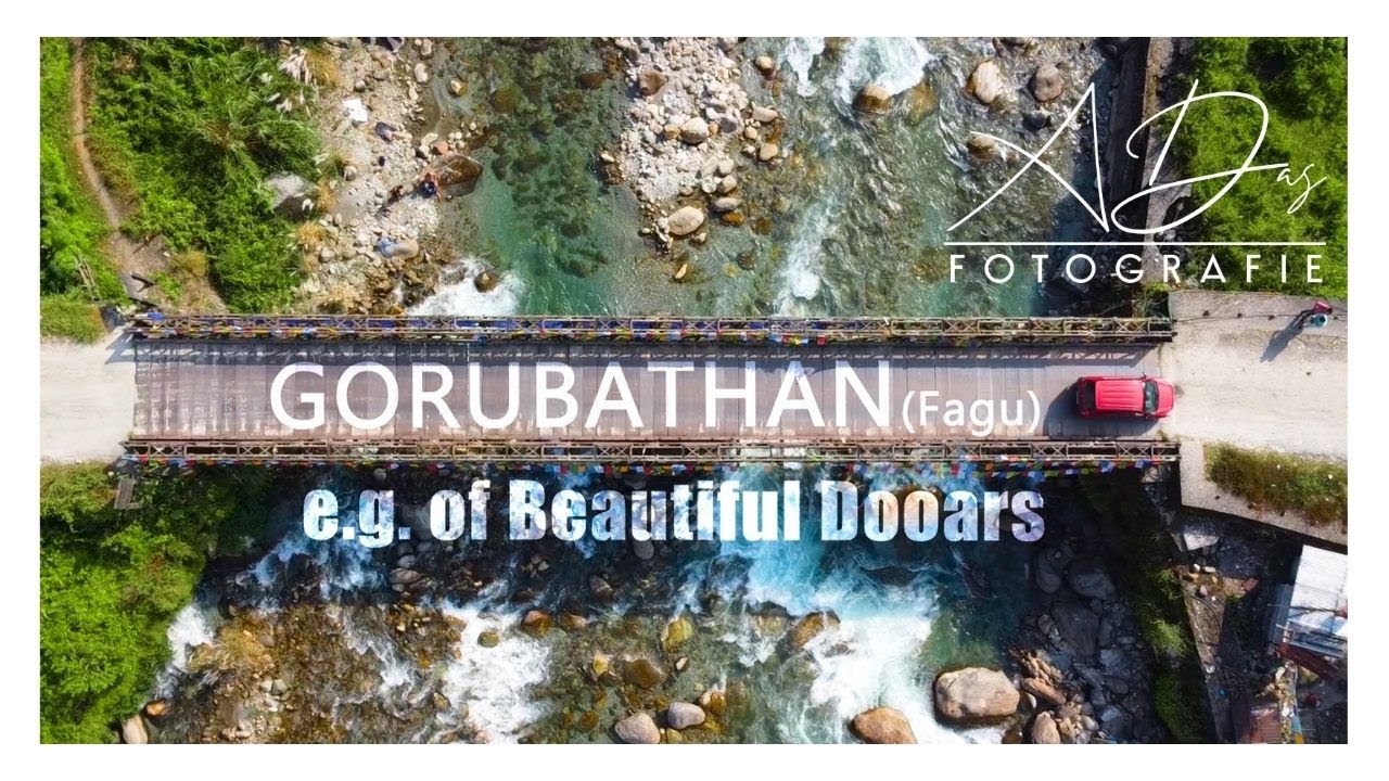 GORUBATHAN (Fagu) - an example of Beautiful Dooars | Drone Shot