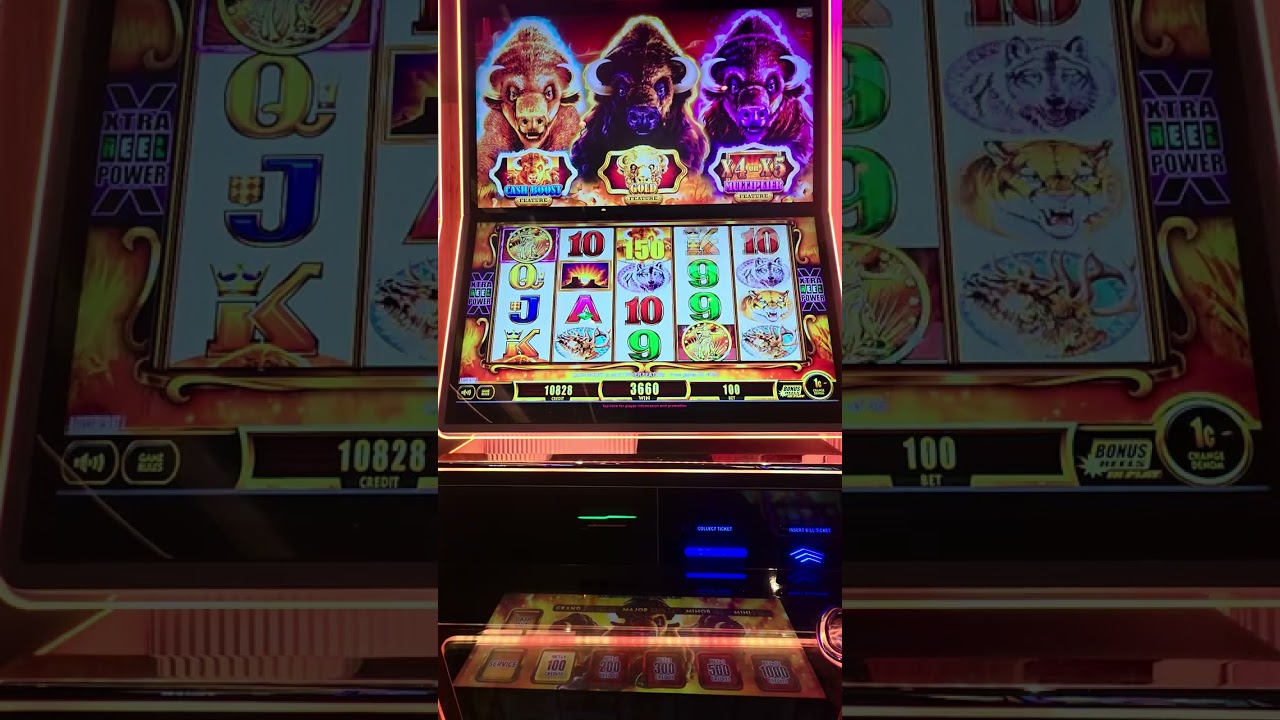 BUFFALO GOLD CASH COLLECTION BONUS HIT | Bdgame21slots