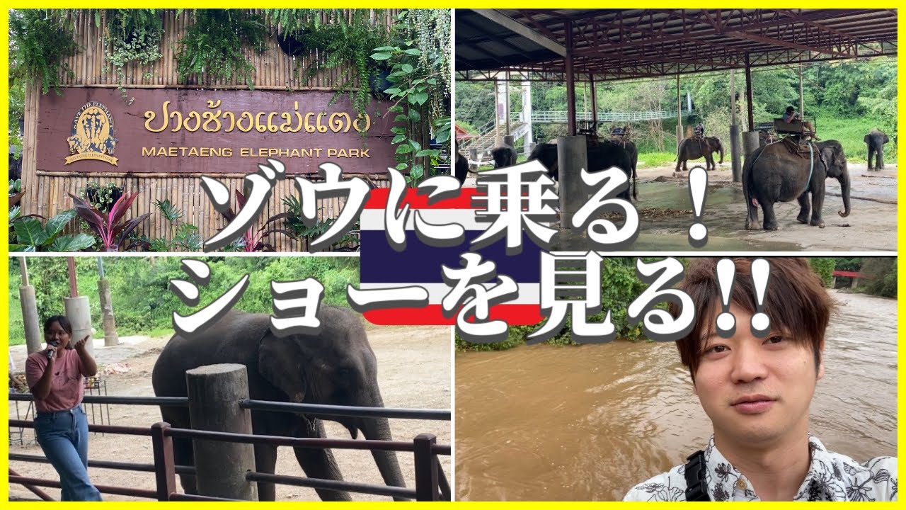 【ゾウに乗って川渡り】チェンマイで人生初の激ヤバ体験