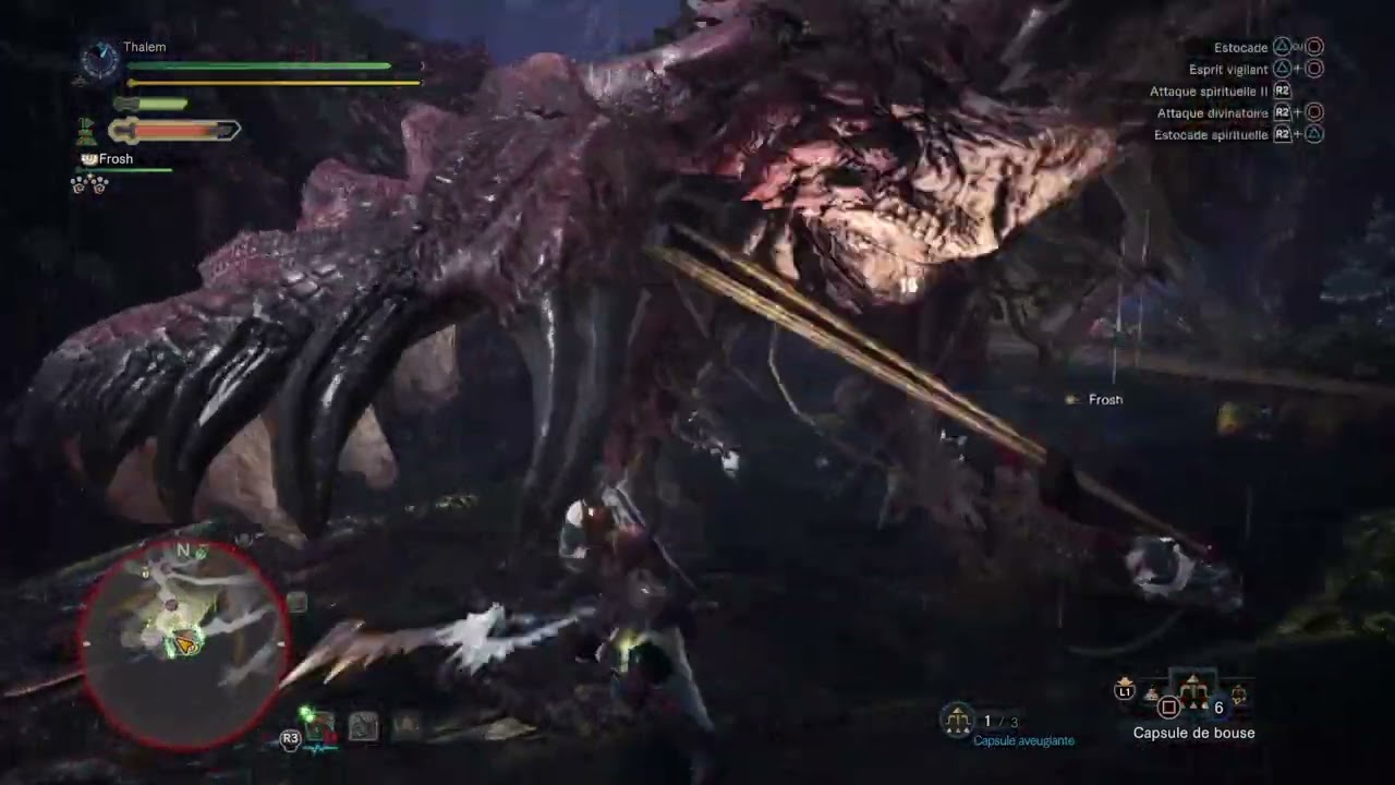 Capture Rathalos expert