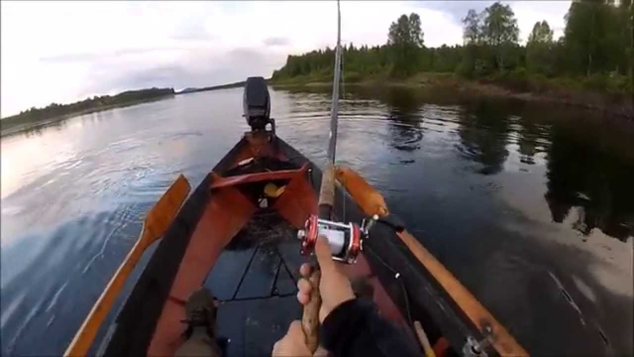 tornionjoki 17.6 2015