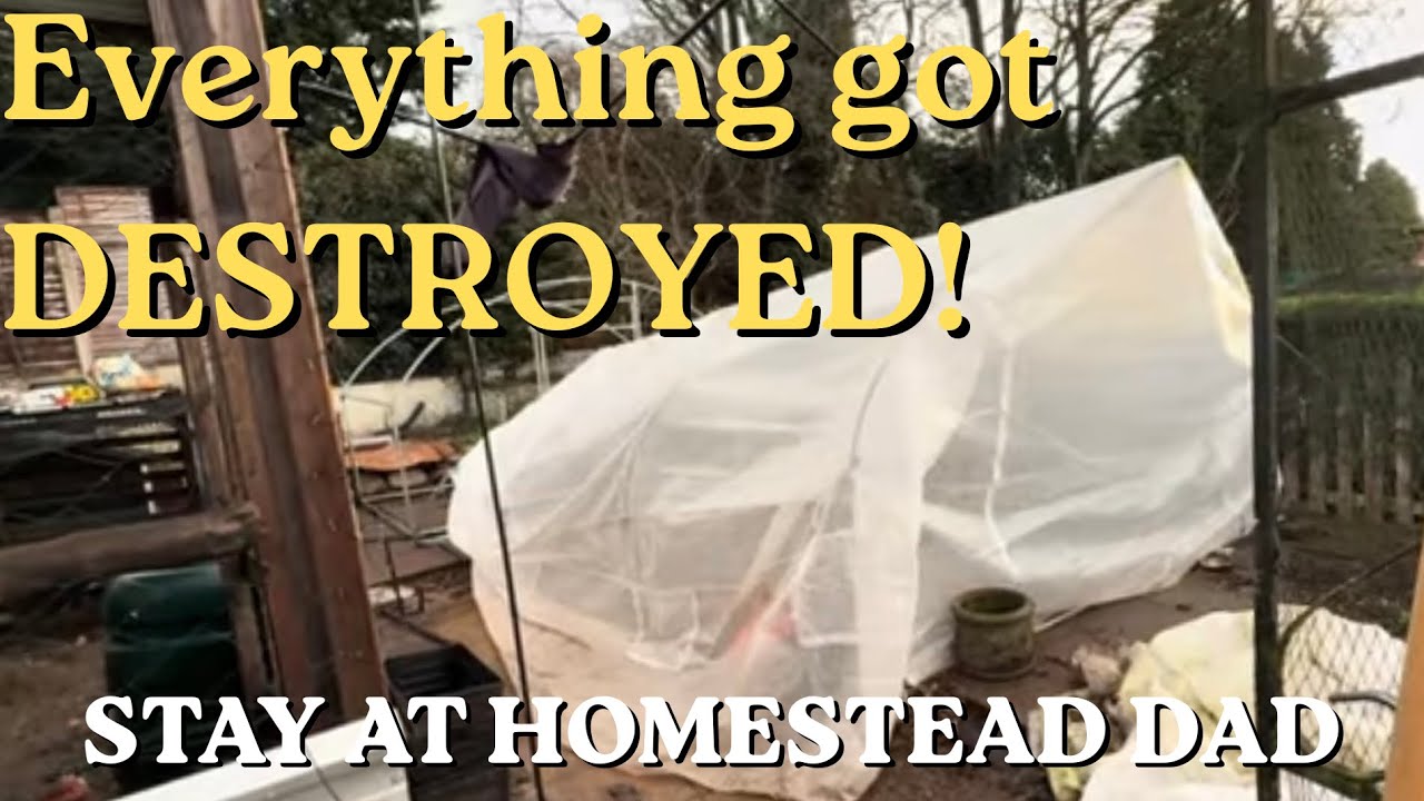 Stay At Homestead Dad - Episode 2