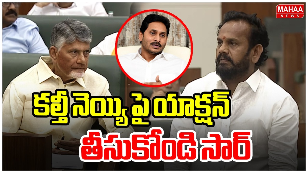 కల్తీ నెయ్యి పై యాక్షన్ తీసుకోండి సార్ | MLA Request To CM Chandrababu Over Tirumala Laddu Issue