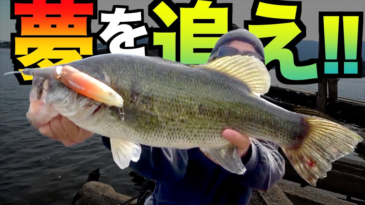 【バス釣り】夢のデカい魚だけを追い続けルアーで釣りまくったバス釣り動画！【2025年総集編後半パート】