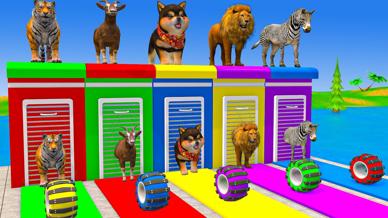 Long Slide Game With Cow Elephant Gorilla Hippopotamus Tiger 3d Animal Game Funny 3d Animals