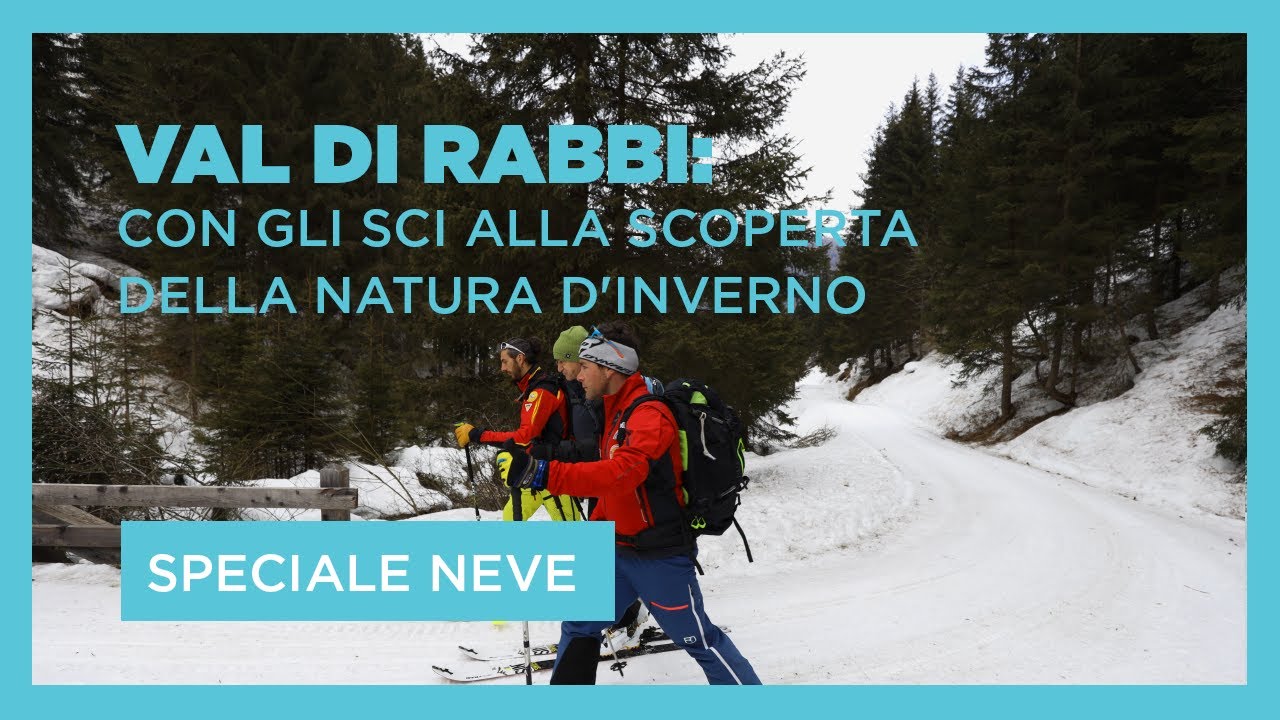 Val di Rabbi: con gli sci alla scoperta della natura d'inverno
