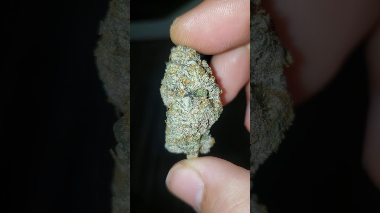 Caked Up Cherries Strain 🍒 By WEEDWITHOUTLIMITS x Lionboldtfarms #420 Strain Nug Preview