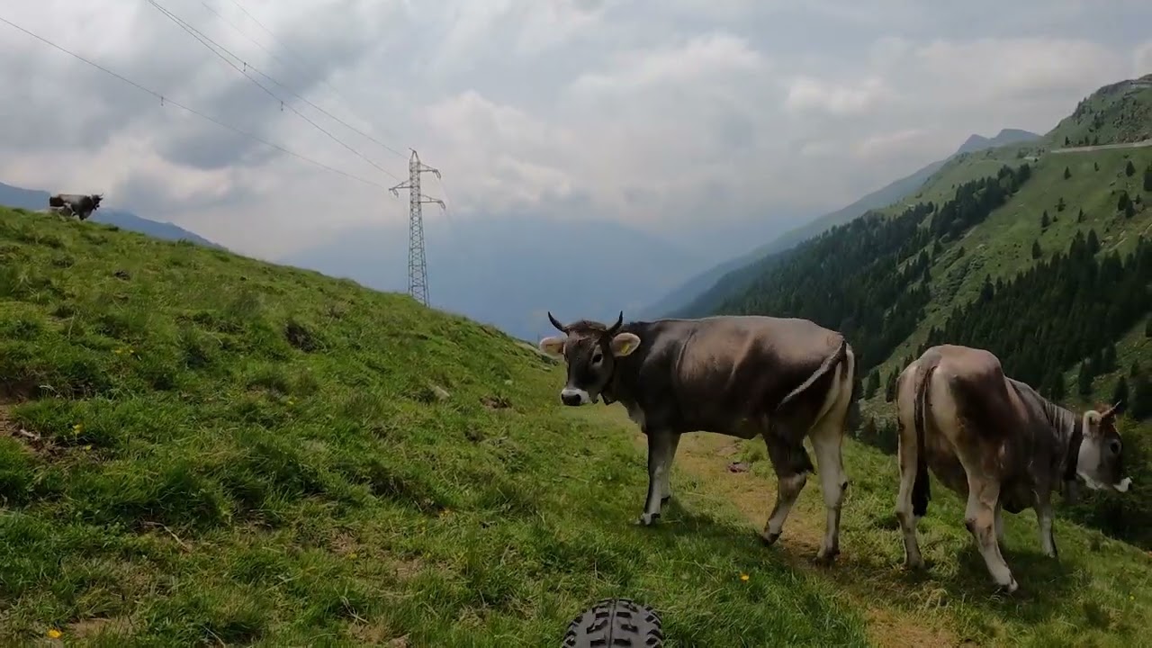 2023 Alpencross Tag 4 Sterzing - Jaufen - Meran