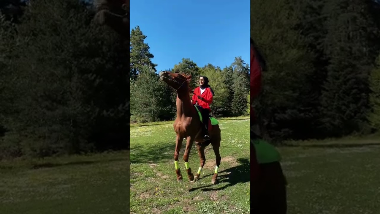 İlk deneme💜👊🏽