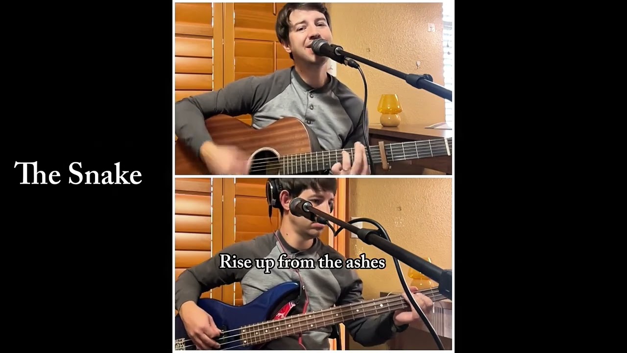 The Snake (original song)