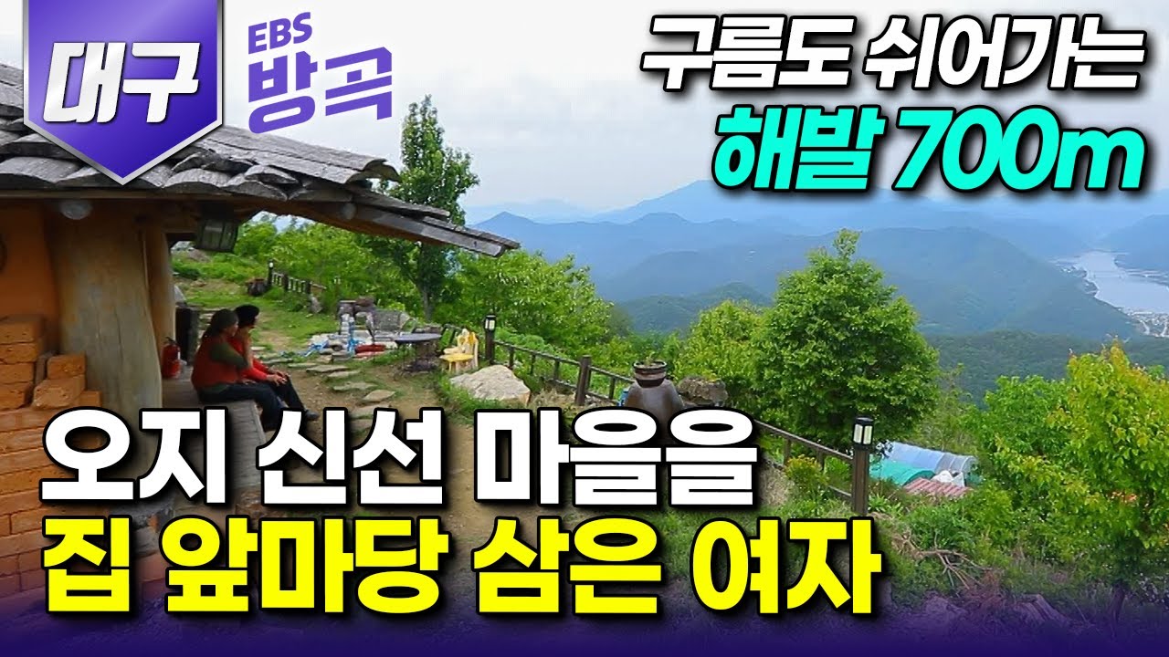 [대구광역시] 