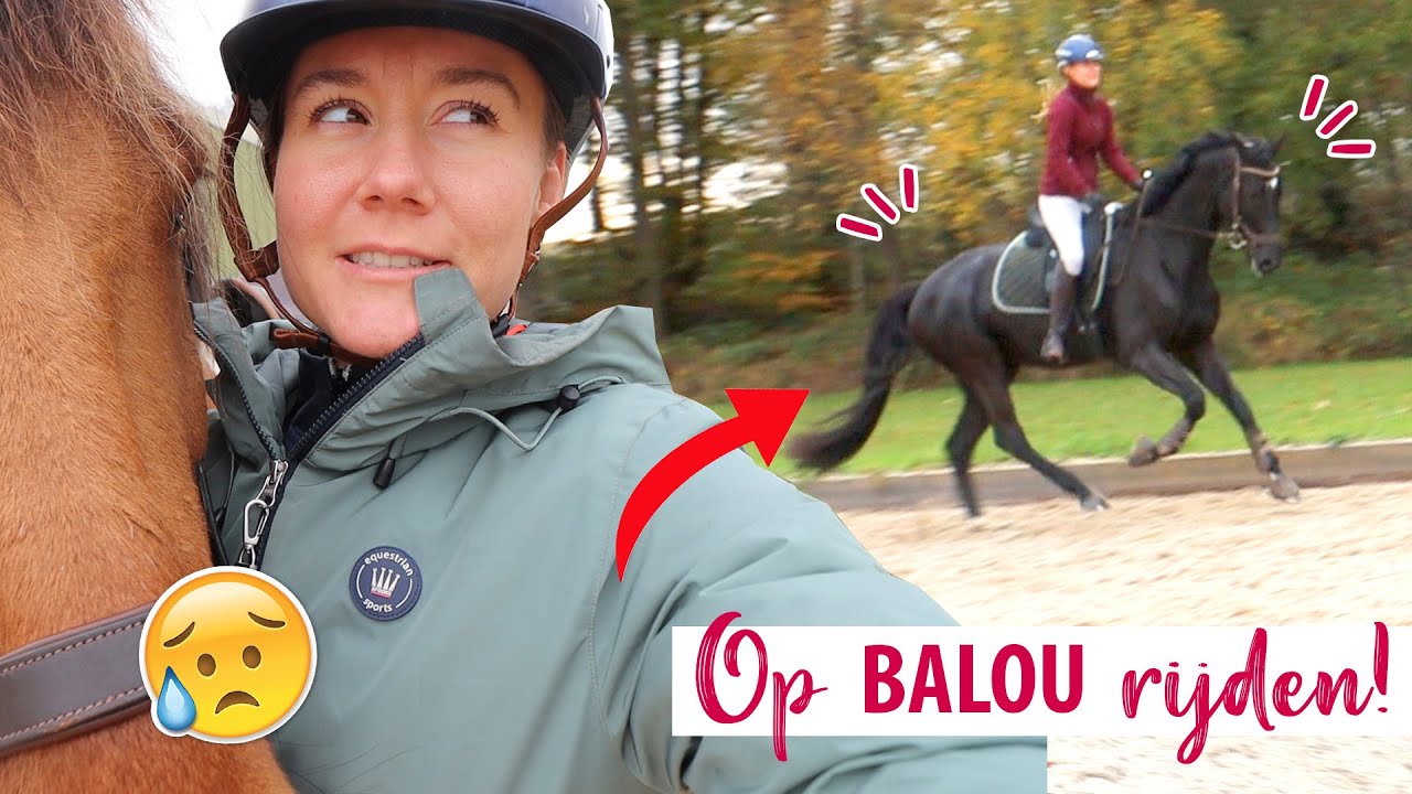 Op BALOU rijden, EERSTE TV AFLEVERING & Marley KREUPEL?! | felinehoi WEEKVLOG #410