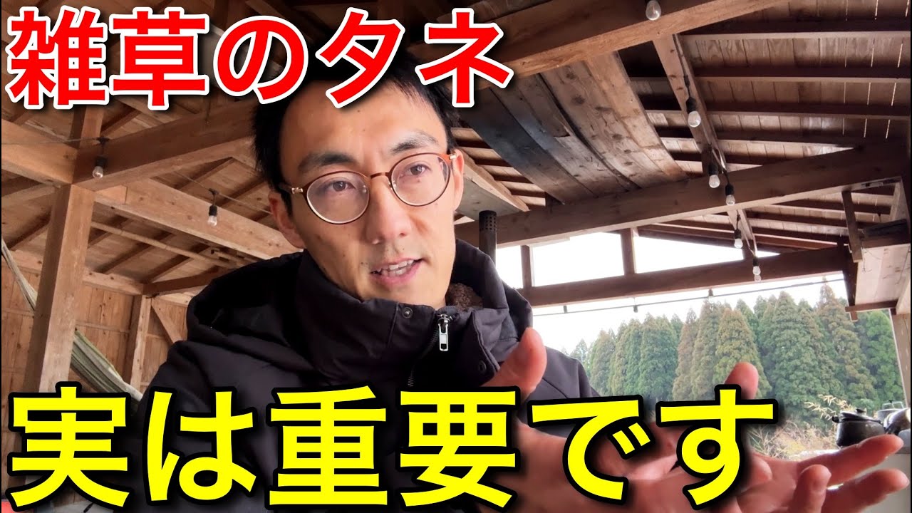 協生農法に学ぶ埋土種子の重要性。雑草の種はたくさんあった方が良い理由。