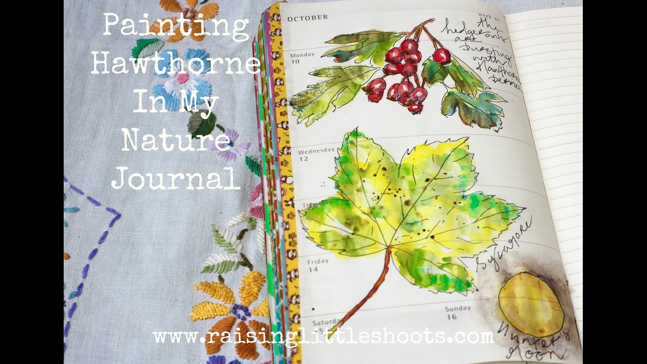 Painting Hawthorne In My Nature Journal
